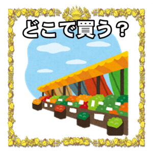 どこで買う?